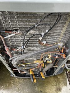 IMG_1901